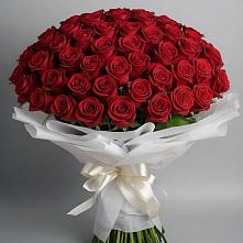 Букет 101 Красная роза Блэк Мэджик в Холбоне