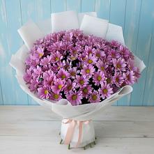 Букет цветов из:  Хризантемы #REPLACE_PRED# Холбоне