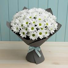 Букет цветов из:  Хризантемы в Холбоне