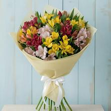 Букет цветов из:  Альстромерии #REPLACE_PRED# Холбоне