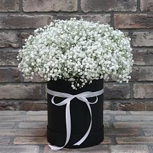 Цветочная композиция из Гипсофила в шляпной коробке в Холбоне
