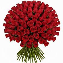 Букет Красные розы Чери Лав в Холбоне