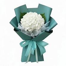 Букет цветов из:  Гортензия #REPLACE_PRED# Холбоне